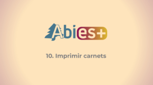 Imprimir carnets